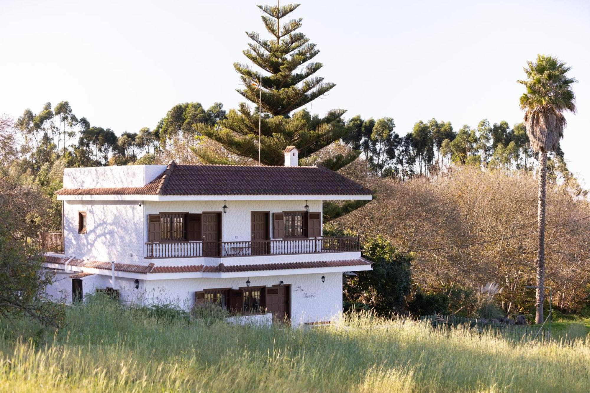 Lightbooking Casa De Campo Ortigal Tenerife La Esperanza (Tenerife) Exterior foto